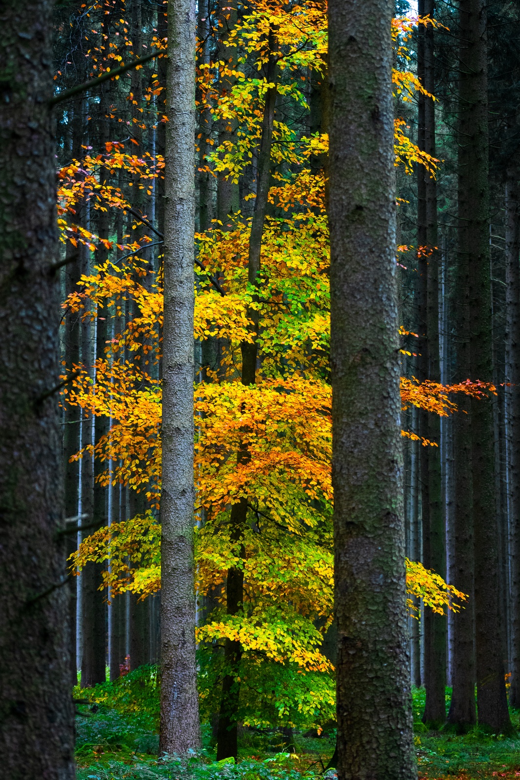 Platz 5 Uwe Kiessling